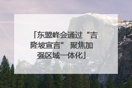 东盟峰会通过“吉隆坡宣言” 聚焦加强区域一体化