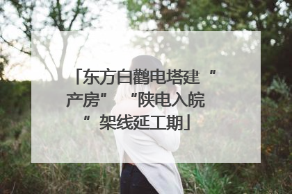 东方白鹳电塔建“产房” “陕电入皖”架线延工期