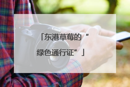 东港草莓的“绿色通行证”