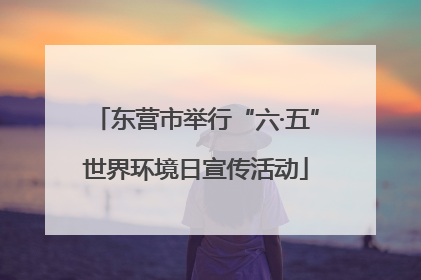 东营市举行“六·五”世界环境日宣传活动