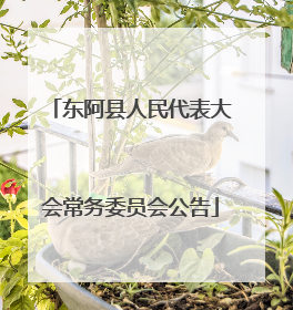 东阿县人民代表大会常务委员会公告