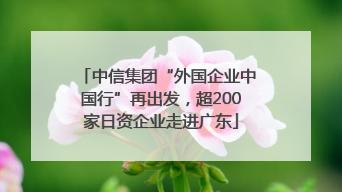 中信集团“外国企业中国行”再出发，超200家日资企业走进广东