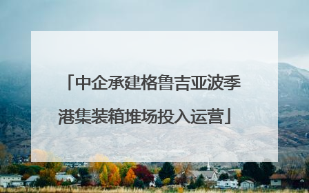 中企承建格鲁吉亚波季港集装箱堆场投入运营