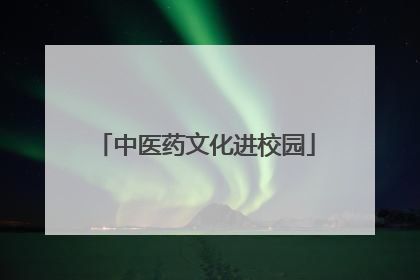 中医药文化进校园