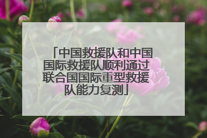 中国救援队和中国国际救援队顺利通过联合国国际重型救援队能力复测