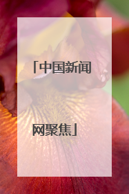 中国新闻网聚焦