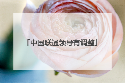 中国联通领导有调整