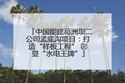 中国能建葛洲坝二公司孟底沟项目：打造“样板工程” 彰显“水电王牌”