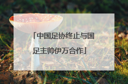 中国足协终止与国足主帅伊万合作