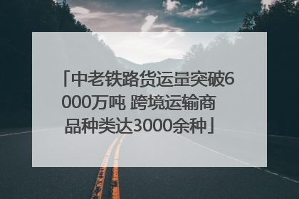 中老铁路货运量突破6000万吨 跨境运输商品种类达3000余种