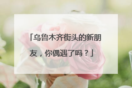 乌鲁木齐街头的新朋友，你偶遇了吗？