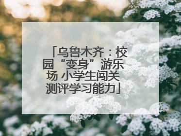 乌鲁木齐：校园“变身”游乐场 小学生闯关测评学习能力