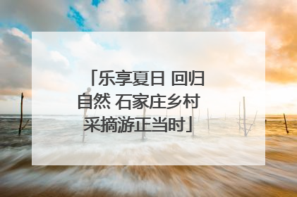 乐享夏日 回归自然 石家庄乡村采摘游正当时