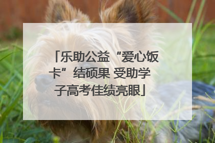 乐助公益“爱心饭卡”结硕果 受助学子高考佳绩亮眼