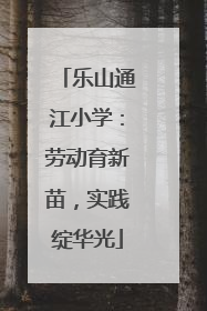 乐山通江小学：劳动育新苗，实践绽华光