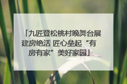 九匠登松桃村晚舞台展建房绝活 匠心垒起“有房有家”美好家园