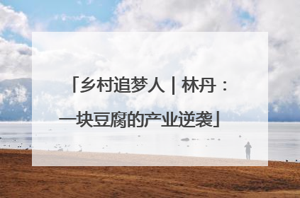 乡村追梦人｜林丹：一块豆腐的产业逆袭
