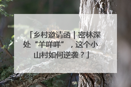 乡村邀请函｜密林深处“羊咩咩”，这个小山村如何逆袭？