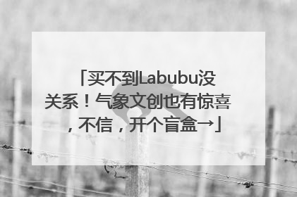 买不到Labubu没关系！气象文创也有惊喜，不信，开个盲盒→