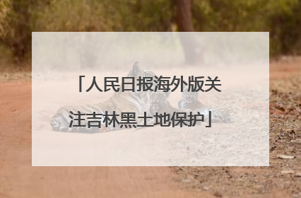 人民日报海外版关注吉林黑土地保护