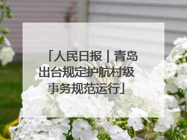 人民日报｜青岛出台规定护航村级事务规范运行