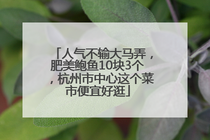 人气不输大马弄，肥美鲍鱼10块3个，杭州市中心这个菜市便宜好逛