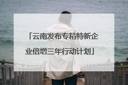 云南发布专精特新企业倍增三年行动计划