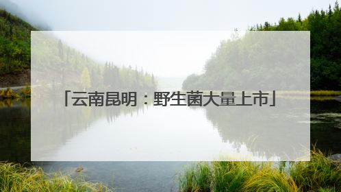 云南昆明：野生菌大量上市