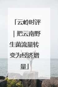 云岭时评｜把云南野生菌流量转变为经济增量