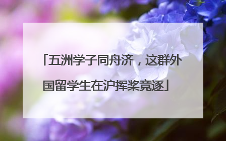 五洲学子同舟济，这群外国留学生在沪挥桨竞逐