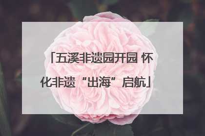 五溪非遗园开园 怀化非遗“出海”启航