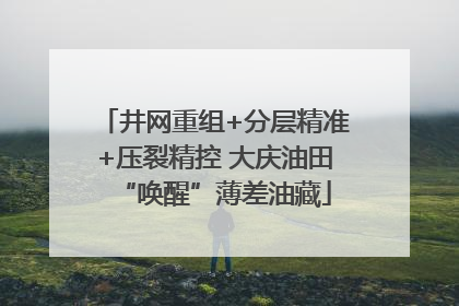 井网重组+分层精准+压裂精控 大庆油田“唤醒”薄差油藏