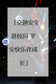 交通安全进校园 平安快乐伴成长