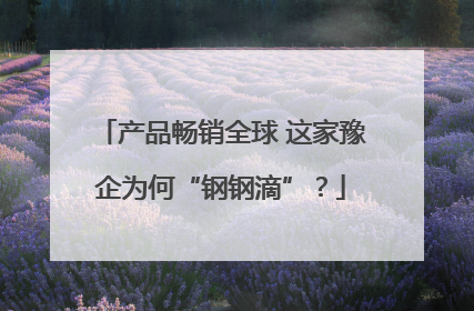 产品畅销全球 这家豫企为何“钢钢滴”？