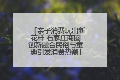 亲子消费玩出新花样 石家庄商圈创新融合民俗与童趣引发消费热潮