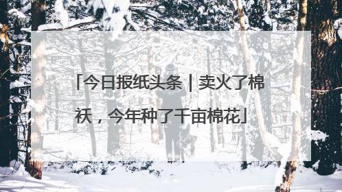 今日报纸头条｜卖火了棉袄，今年种了千亩棉花