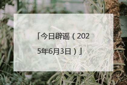 今日辟谣（2025年6月3日）