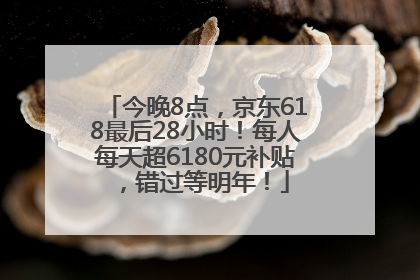 今晚8点，京东618最后28小时！每人每天超6180元补贴，错过等明年！
