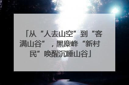 从“人去山空”到“客满山谷”，黑麋峰“新村民”唤醒沉睡山谷