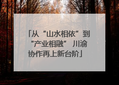 从“山水相依”到“产业相融” 川渝协作再上新台阶