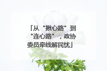 从“揪心路”到“连心路”，政协委员牵线解民忧