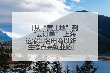 从“黄土地”到“云订单” 上海这家知名电商以新生态点亮就业路