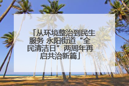 从环境整治到民生服务 永阳街道“全民清洁日”两周年再启共治新篇