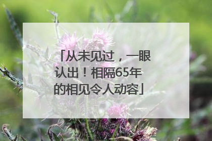 从未见过，一眼认出！相隔65年的相见令人动容