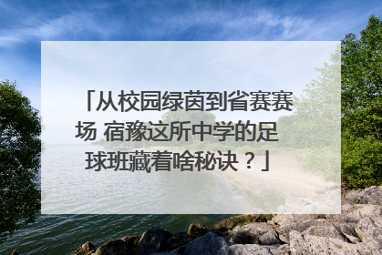 从校园绿茵到省赛赛场 宿豫这所中学的足球班藏着啥秘诀？