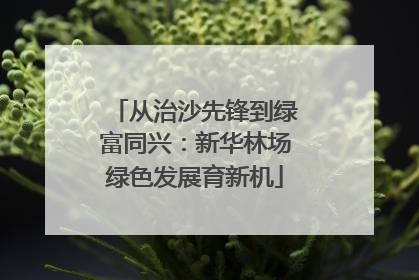 从治沙先锋到绿富同兴：新华林场绿色发展育新机