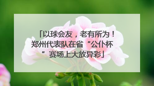 以球会友，老有所为！郑州代表队在省“公仆杯”赛场上大放异彩