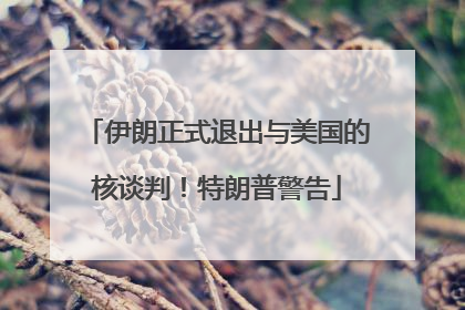 伊朗正式退出与美国的核谈判！特朗普警告