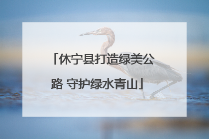 休宁县打造绿美公路 守护绿水青山