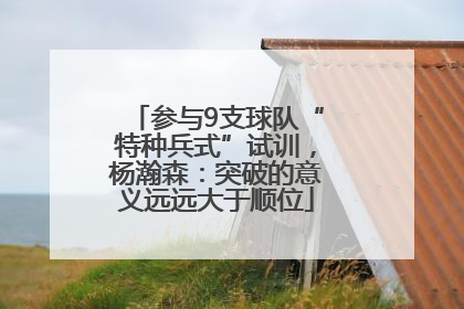 参与9支球队“特种兵式”试训，杨瀚森：突破的意义远远大于顺位
